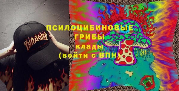 apvp Козловка