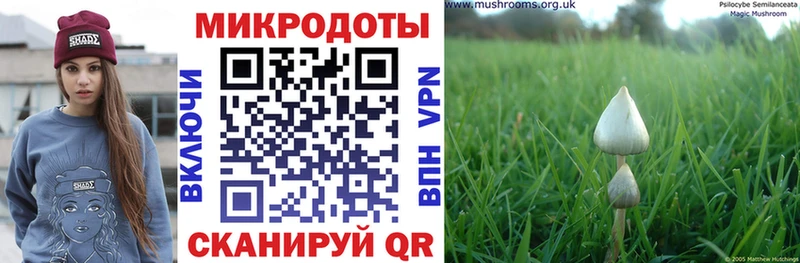 Купить где  Усть-Кут  Галлюциногенные грибы Psilocybine cubensis 